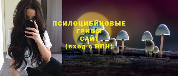 дживик Алексин