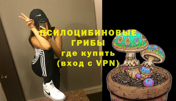 дживик Алексин