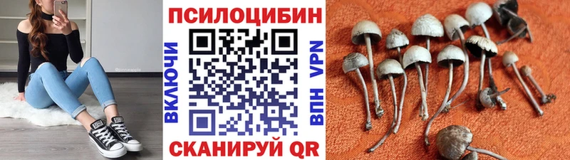 Псилоцибиновые грибы MAGIC MUSHROOMS  Бабаево 