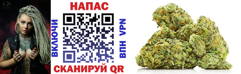 Конопля SATIVA & INDICA  Бабаево 